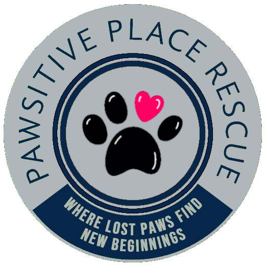 Pawsitive Place Rescue